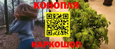 стаф Нарткала