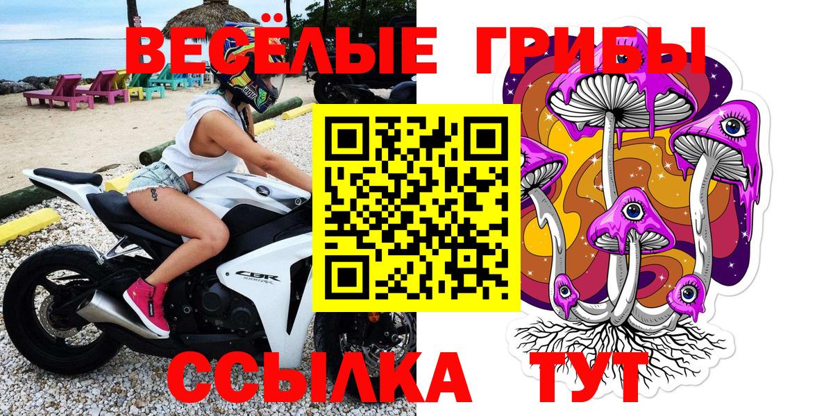закладки  Псилоцибиновые грибы прущие грибы  Вход с VPN  Сорочинск 